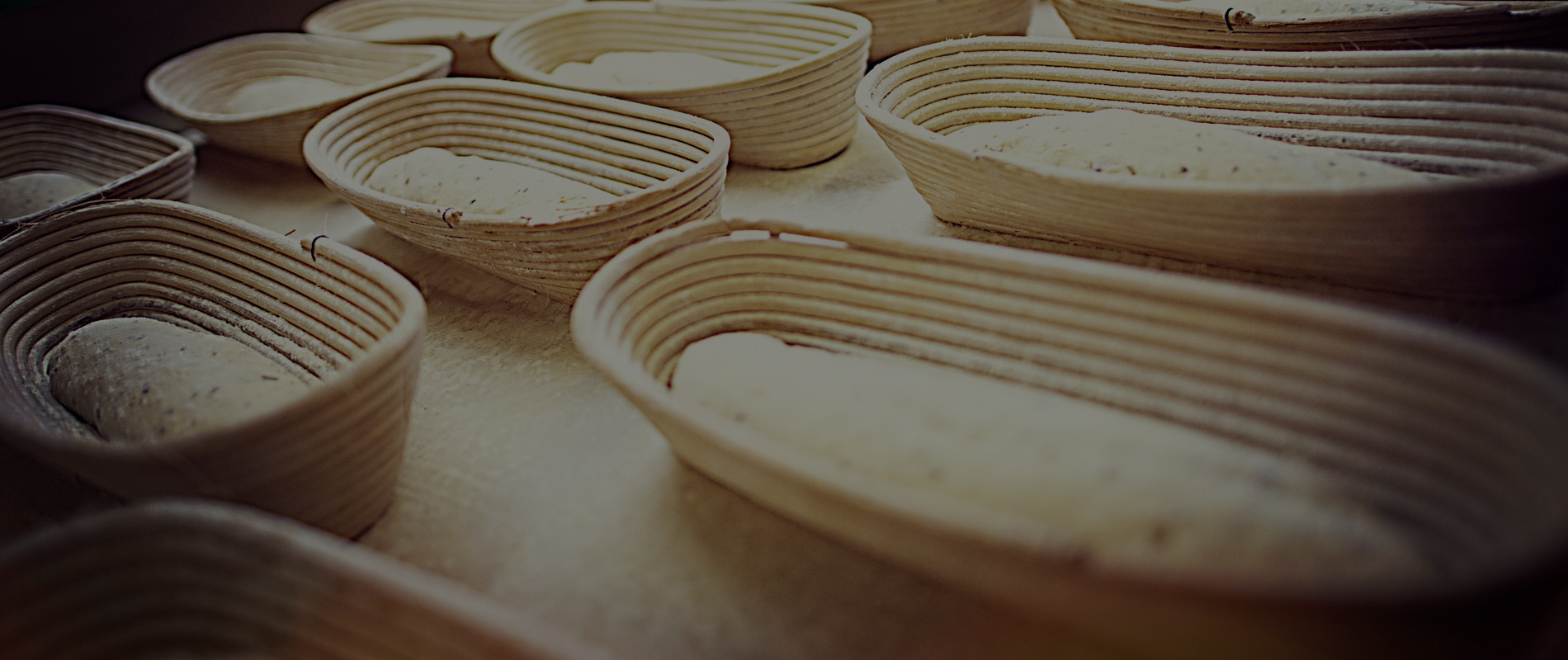 Euro Bake <span>technology</span>
